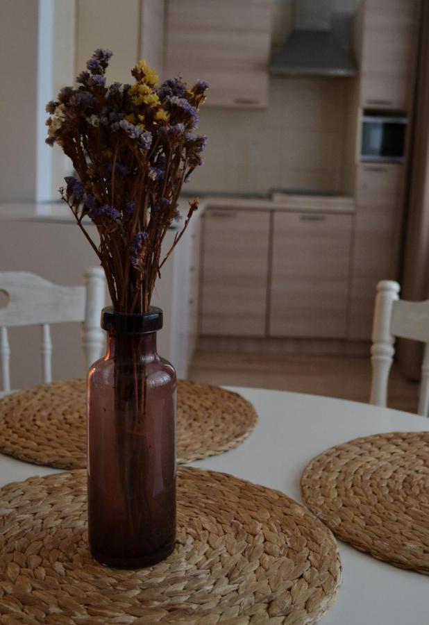 Apartament Saulys Druskieniki